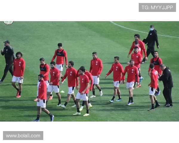 埃及篮球联赛精彩对决在线直播